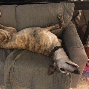 Meet your Posher, Claire